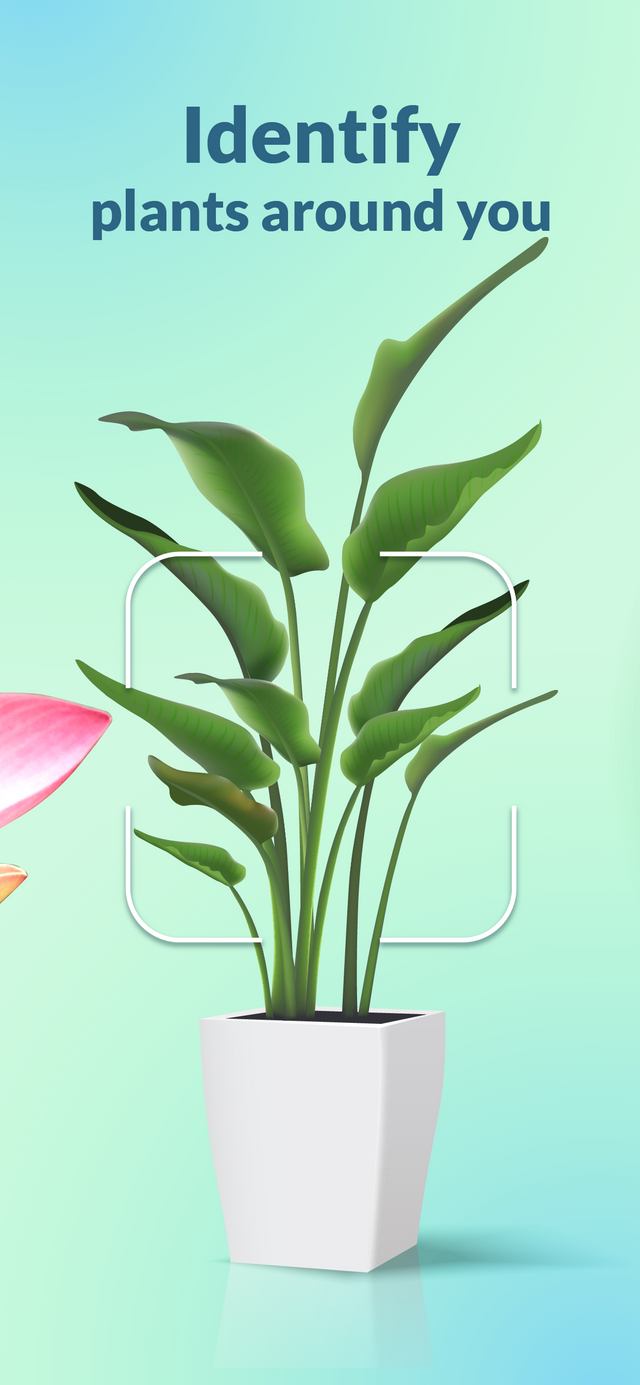 app store screens Plantility_iPhone 6.5-2 (3).png